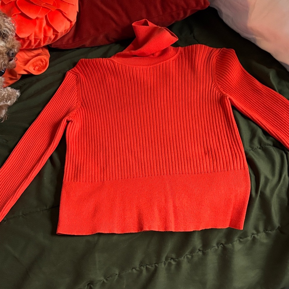 NWOT Zara Vibrant Orange/Red Ribbed Turtleneck Sweater